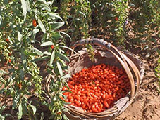 9��3�ա�����ĳ���Ʒ�ƶ�λ��ԃ�(xi��ng)Ŀ�R��(b��o)���A�M��Ļ��