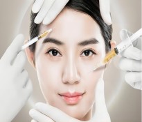 2025���Ї�(gu��)�t(y��)�������ИI(y��)��Ƥ�����t(y��)�����ΠI(y��ng)�N�߄�-�t(y��)�����Α�(zh��n)��Ҏ(gu��)��-�t(y��)�����������YԴ��ԃ-�t(y��)�����ι�����ԃ-�ɶ�������ԃ��˾��