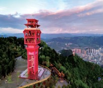 �_(d��)�������I(y��)��λ��ʮ���塱Ҏ(gu��)�����Ʒ���ָ��(d��o)���h����(gu��)��ʮ����Ҏ(gu��)��-�I(y��)��λʮ����Ҏ(gu��)����