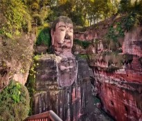 ��ɽ�����I(y��)��λ��ʮ���塱Ҏ(gu��)�����Ʒ���ָ��(d��o)���h����(gu��)��ʮ����Ҏ(gu��)��-�I(y��)��λʮ����Ҏ(gu��)����