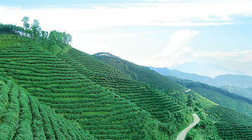 ���f����@・��(zh��n)�ԠI�N��λ���ɶ�������ԃ��˾����ɽ��@���\�����~�ИI(y��)��λ��ԃ-���~�ИI(y��)�I�N��λȫ��-���~�ИI(y��)��(zh��n)�Զ�λ��ԃ��