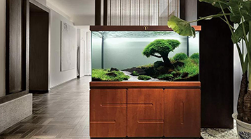 �����ˮ�塿�����ꅢ�\�(w��n)��-�ɶ������(w��n)��ԃ��˾