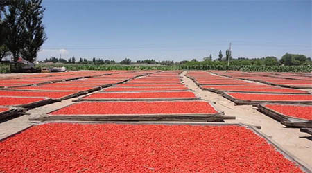 �����ԃ��������ИI(y��)�������ɶ�Ʒ�ơ��¹���轡��������ԃ������Ʒ�ƶ�λ��ԃ���ա�